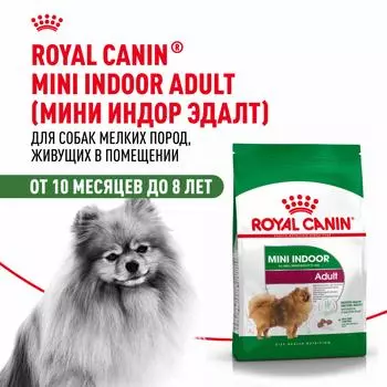 Сухой корм Royal Canin