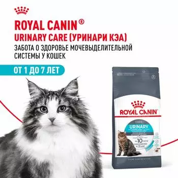 Сухой корм Royal Canin