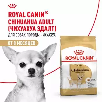 Сухой корм Royal Canin