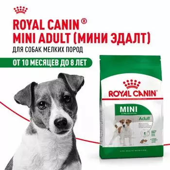 Сухой корм Royal Canin