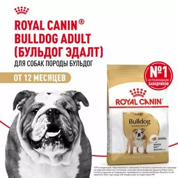Сухой корм Royal Canin