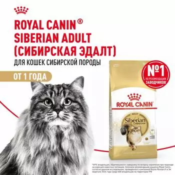 Сухой корм Royal Canin