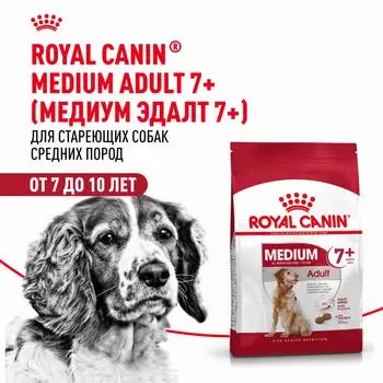 Сухой корм Royal Canin