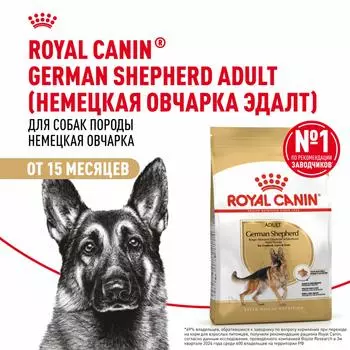 Сухой корм Royal Canin