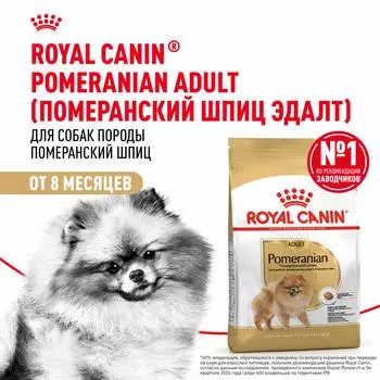 Сухой корм Royal Canin