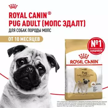 Сухой корм Royal Canin