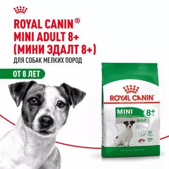 Сухой корм Royal Canin