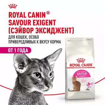 Сухой корм Royal Canin