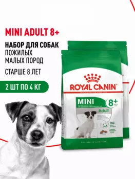 Сухой корм Royal Canin