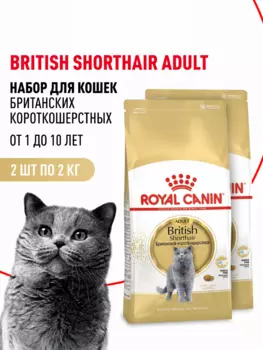 Сухой корм Royal Canin