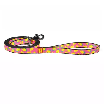 Ошейники, шлейки Tappi амуниция