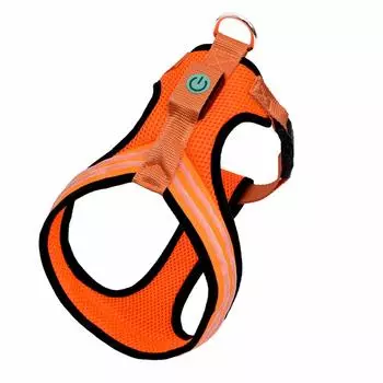 Ошейники, шлейки Tappi амуниция