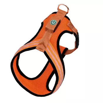 Ошейники, шлейки Tappi амуниция