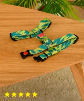 Ошейники, шлейки Tappi амуниция