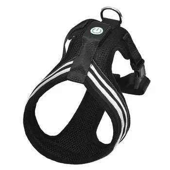 Ошейники, шлейки Tappi амуниция