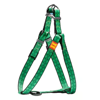 Ошейники, шлейки Tappi амуниция