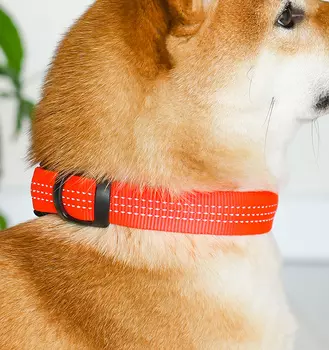 Ошейники, шлейки Tappi амуниция