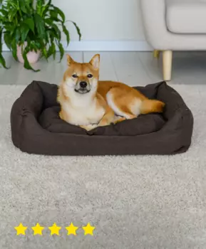 Лежаки Tappi лежаки