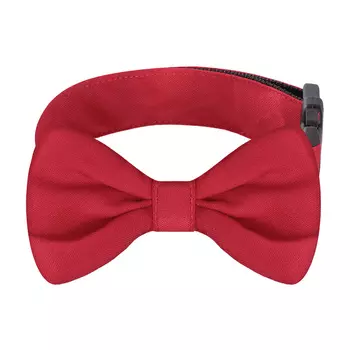 Ошейники, шлейки Tappi одежда