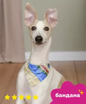 Одежда Tappi одежда