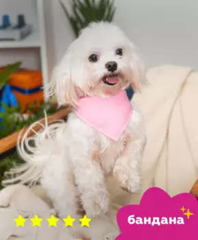 Одежда Tappi одежда