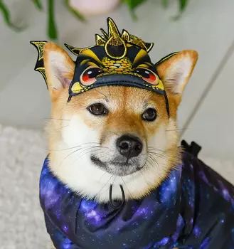 Одежда Tappi одежда