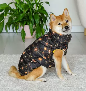 Для прогулок Tappi одежда