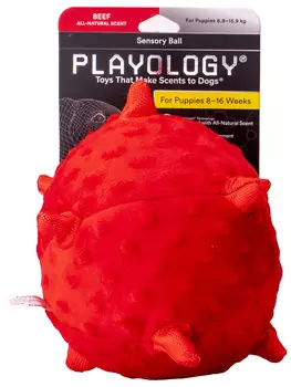 Игрушки Playology