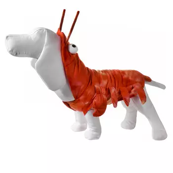 Товары щенку для прогулок