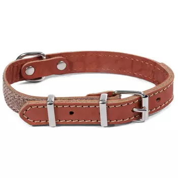 Ошейники, шлейки Triol