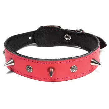 Ошейники, шлейки Triol