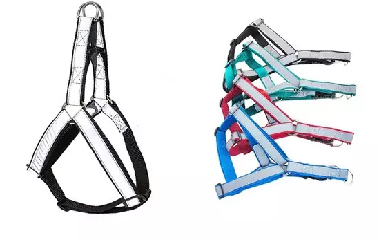 Ошейники, шлейки Yami Yami амуниция