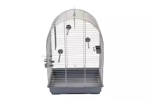 Клетки Yami-Yami