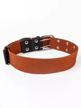 Ошейники, шлейки Зооник