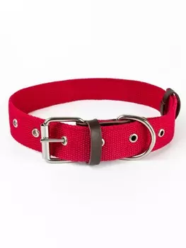 Ошейники, шлейки Зооник