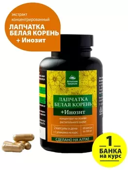 Алтайские традиции Концентрат "Корень лапчатки белой" при дисфункции щитовидной железы, инозит, 60 капсул (Алтайские традиции, Восстанавливающие концентраты)