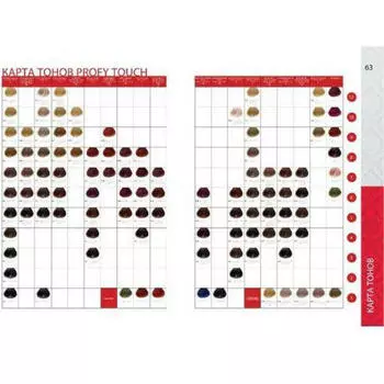 Concept Карта тонов с локонами Profy Touch (Concept, Окрашивание)