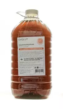 Evolut Гель для рук антисептический с наночастицами серебра, 5000 мл (Evolut, )
