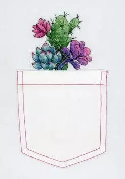 МП Студия В-240 Кактус и суккуленты (МП Студия) (МП Студия)