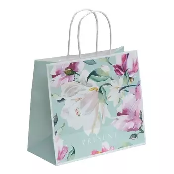 Подарочная упаковка Пакет подарочный крафтовый Present 25 × 22 × 12 см (Подарочная упаковка, Пакеты)