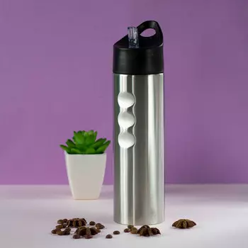 Бутылка спортивная 'Maestro'