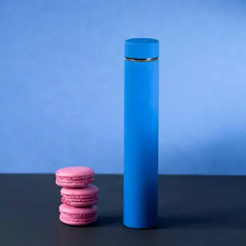 Термос 'Botella' (разные цвета) / Синий