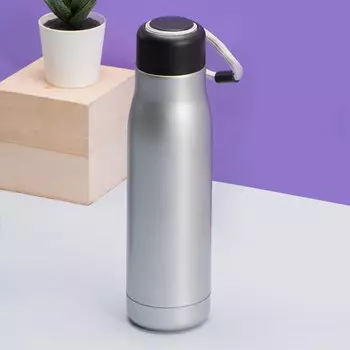 Термос 'Eternal' (разные цвета) / Серебристый