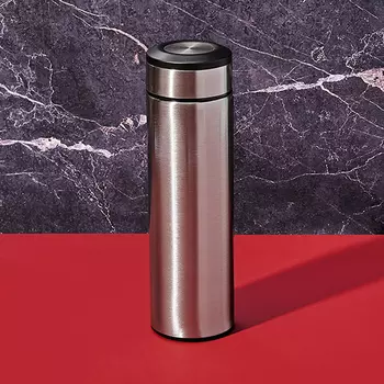 Термос 'Metallic' (разные цвета) / Серебристый