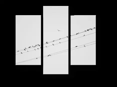 Модульная картина Picsis