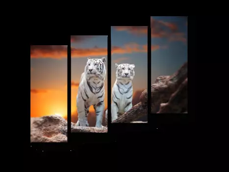 Модульная картина Picsis