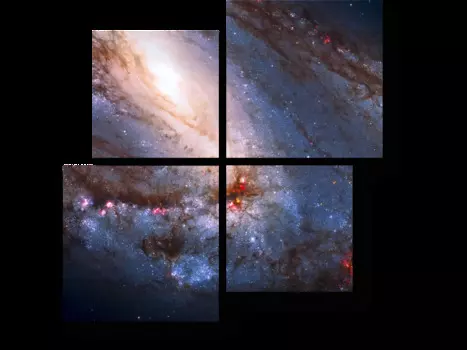 Модульная картина Picsis