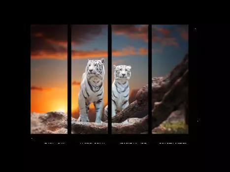 Модульная картина Picsis