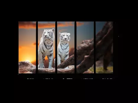 Модульная картина Picsis