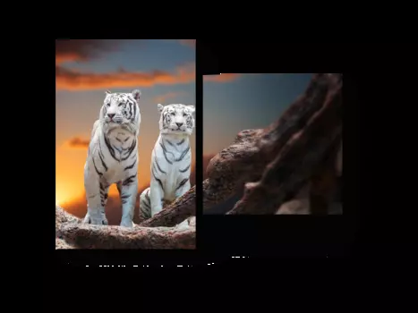 Модульная картина Picsis